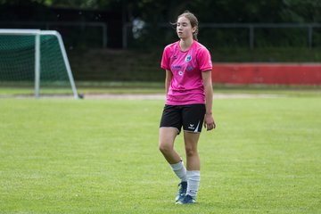 Bild 343 - wCJ VfL Pinneberg - Nordlichter im NSV : Ergebnis: 4:3